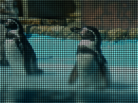 ペンギン
