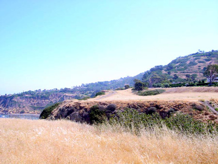 DSC02389
