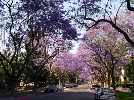 DSC02477