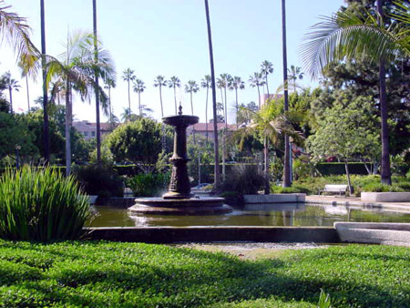 DSC02484