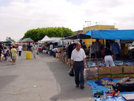 DSC02518