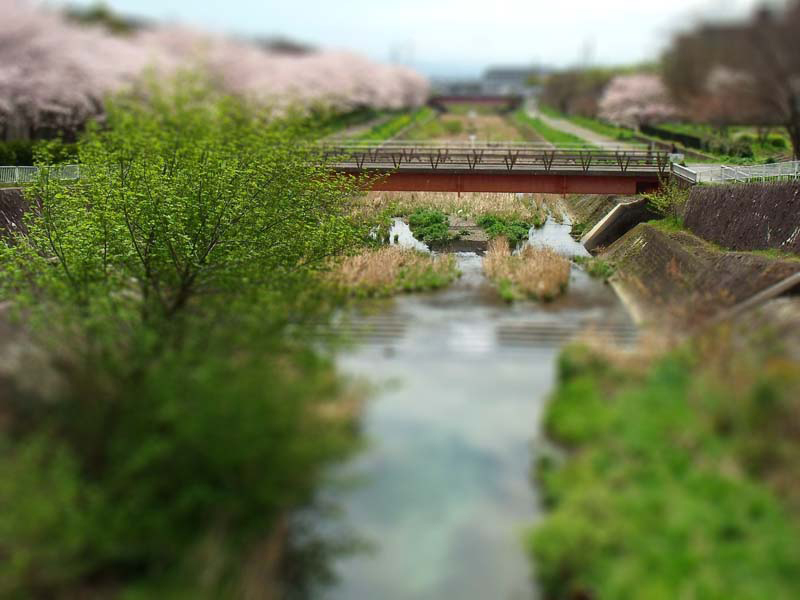 GEDC0354-tiltshift