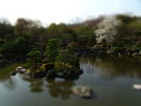 GEDC0302-tiltshift