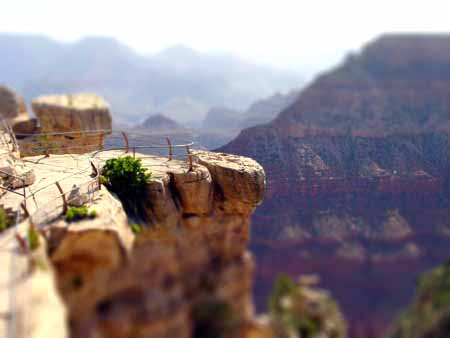 DSC02630-tiltshift