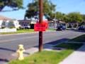 DSC02352-tiltshift