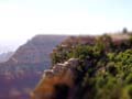 DSC02618-tiltshift