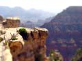 DSC02630-tiltshift