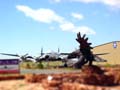 DSC02678-tiltshift